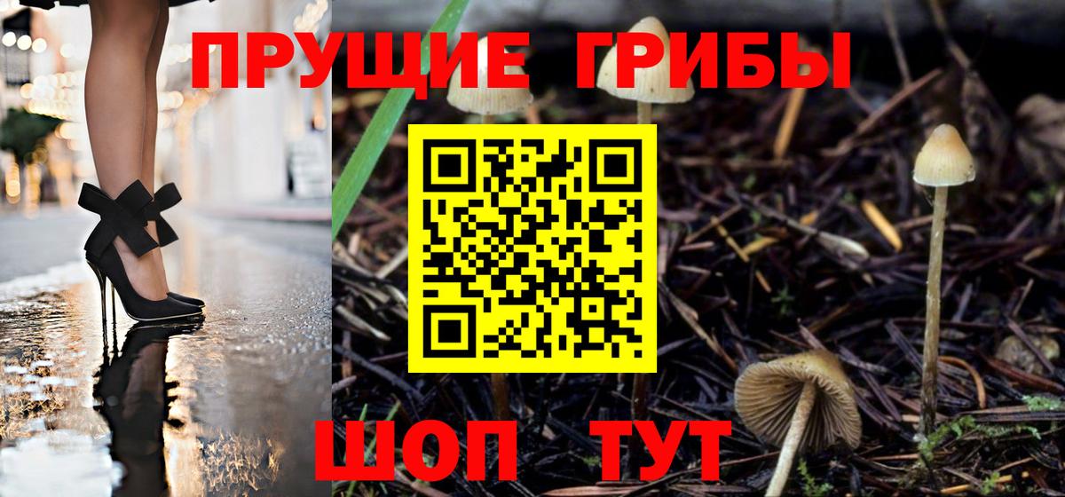 Псилоцибиновые грибы Magic Shrooms  Псилоцибиновые грибы мухоморы  купить закладку  Вход с VPN  Старая Купавна 